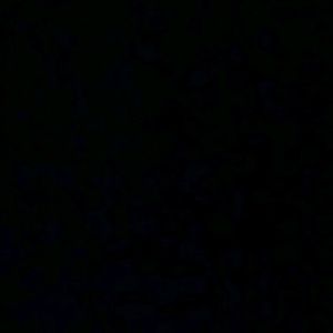 Meet your Posher, Mia